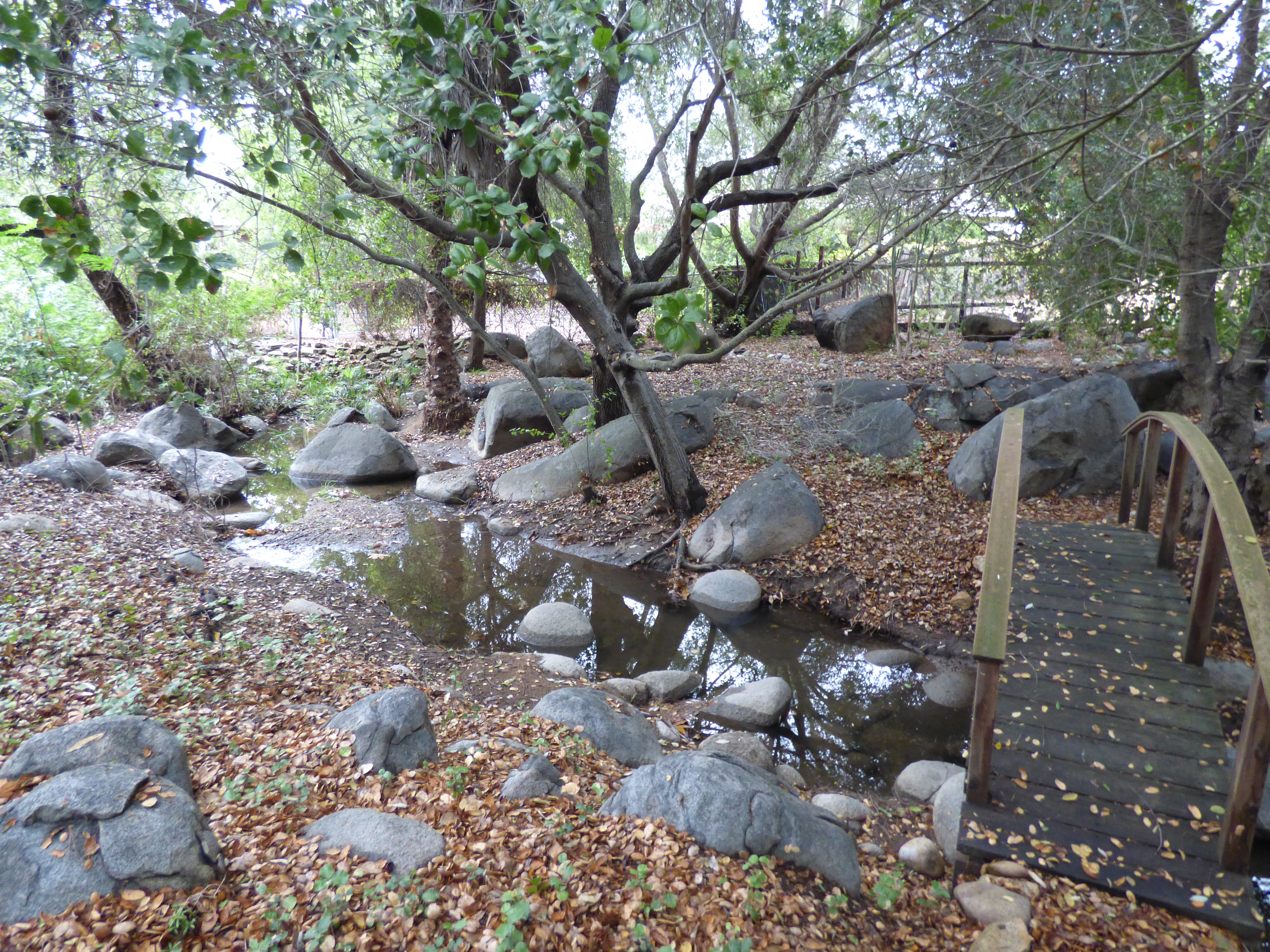 Intermittent creek on residential property.