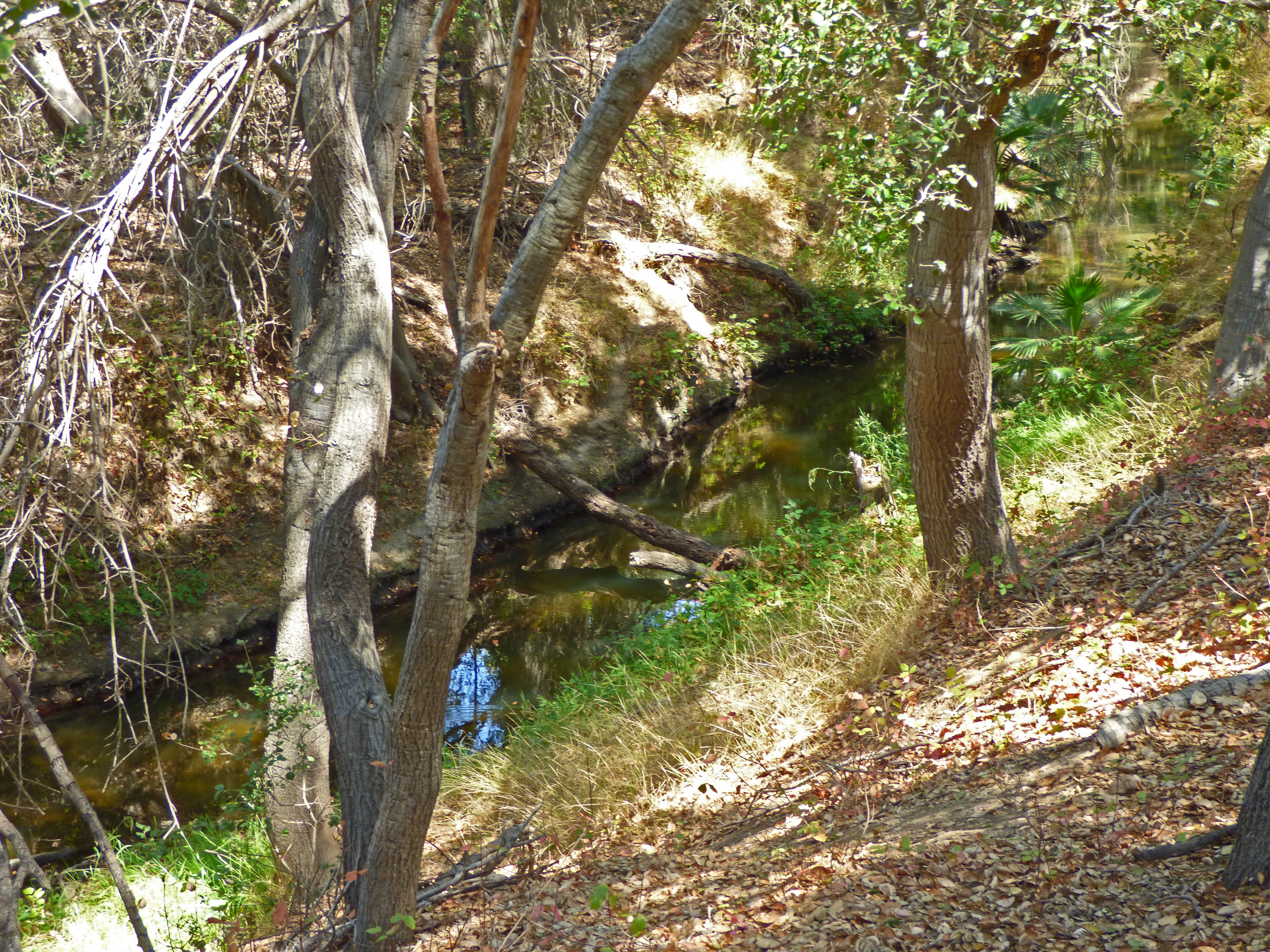 Creekside trail