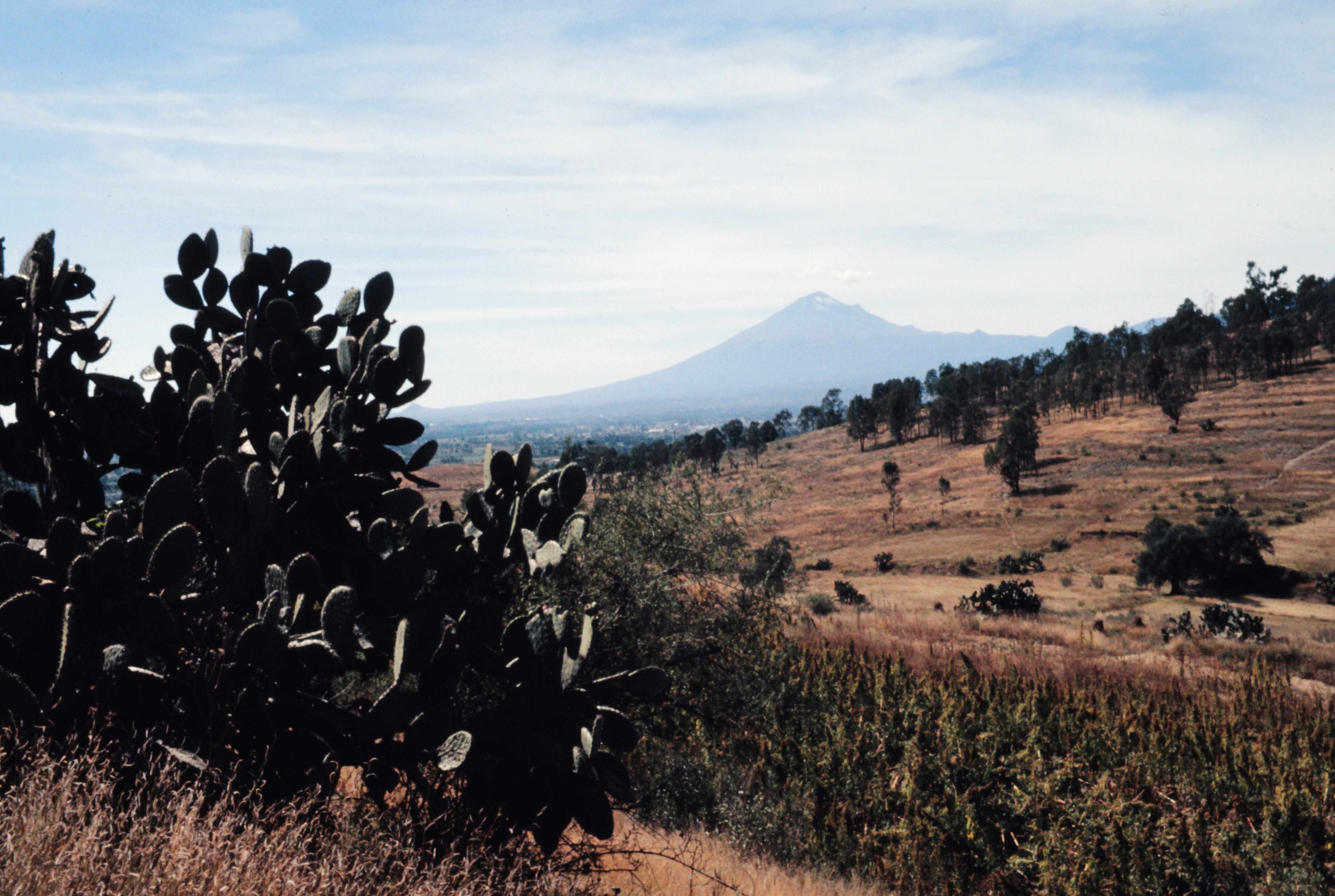 View of Popocatepetl (tele)