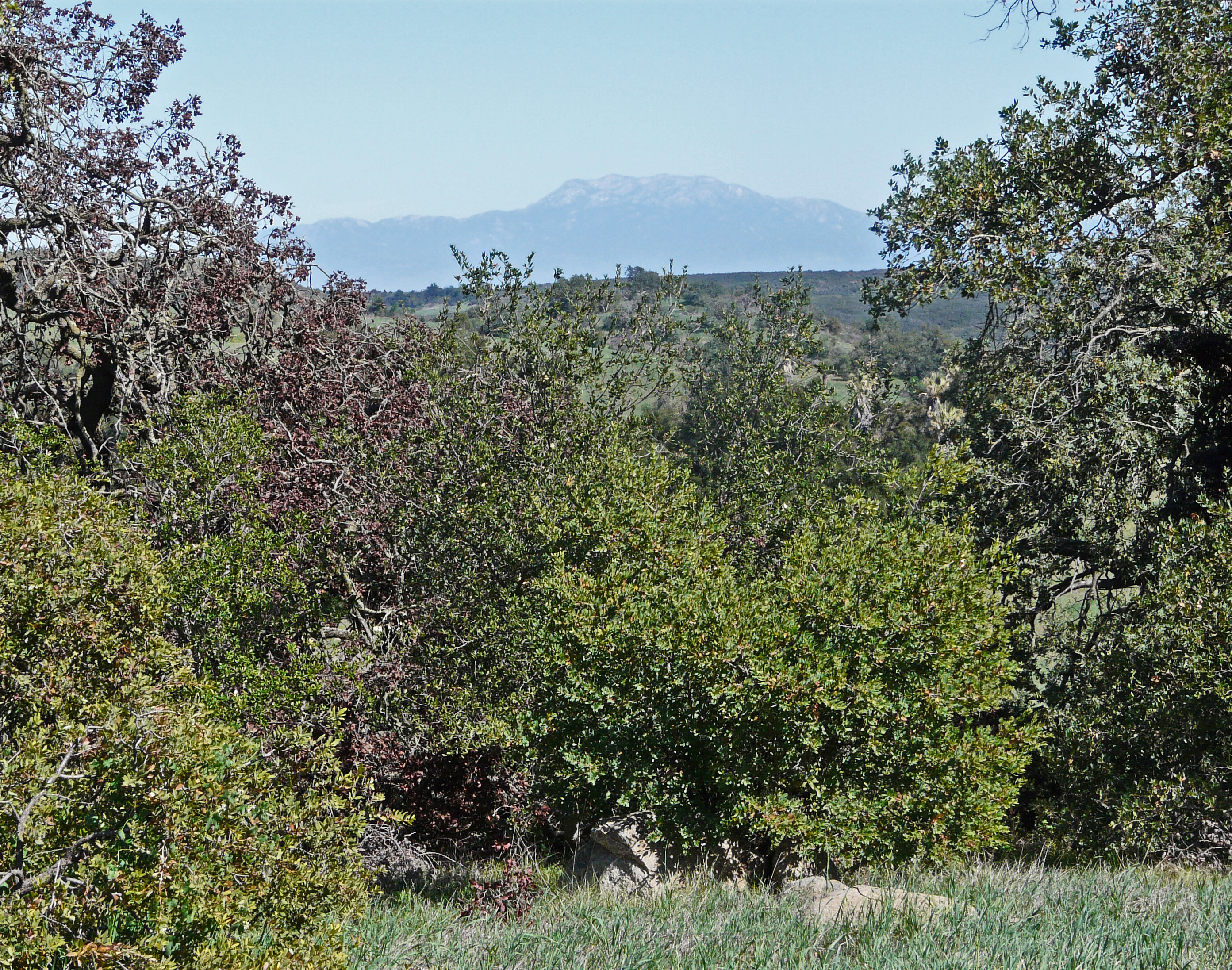 Santa Rosa Plateau (California)