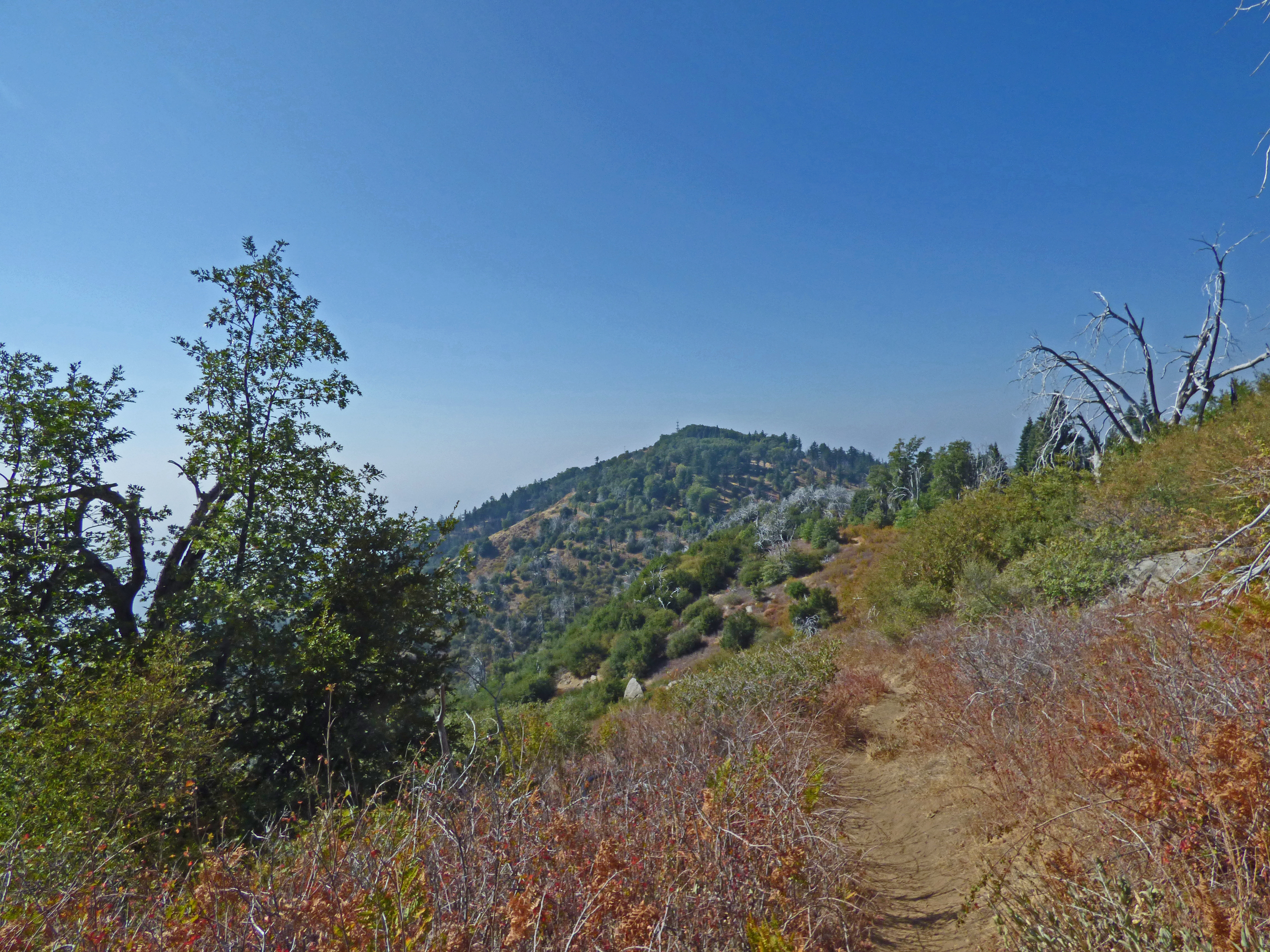 View of Boucher Hill from Silver Crest Trail