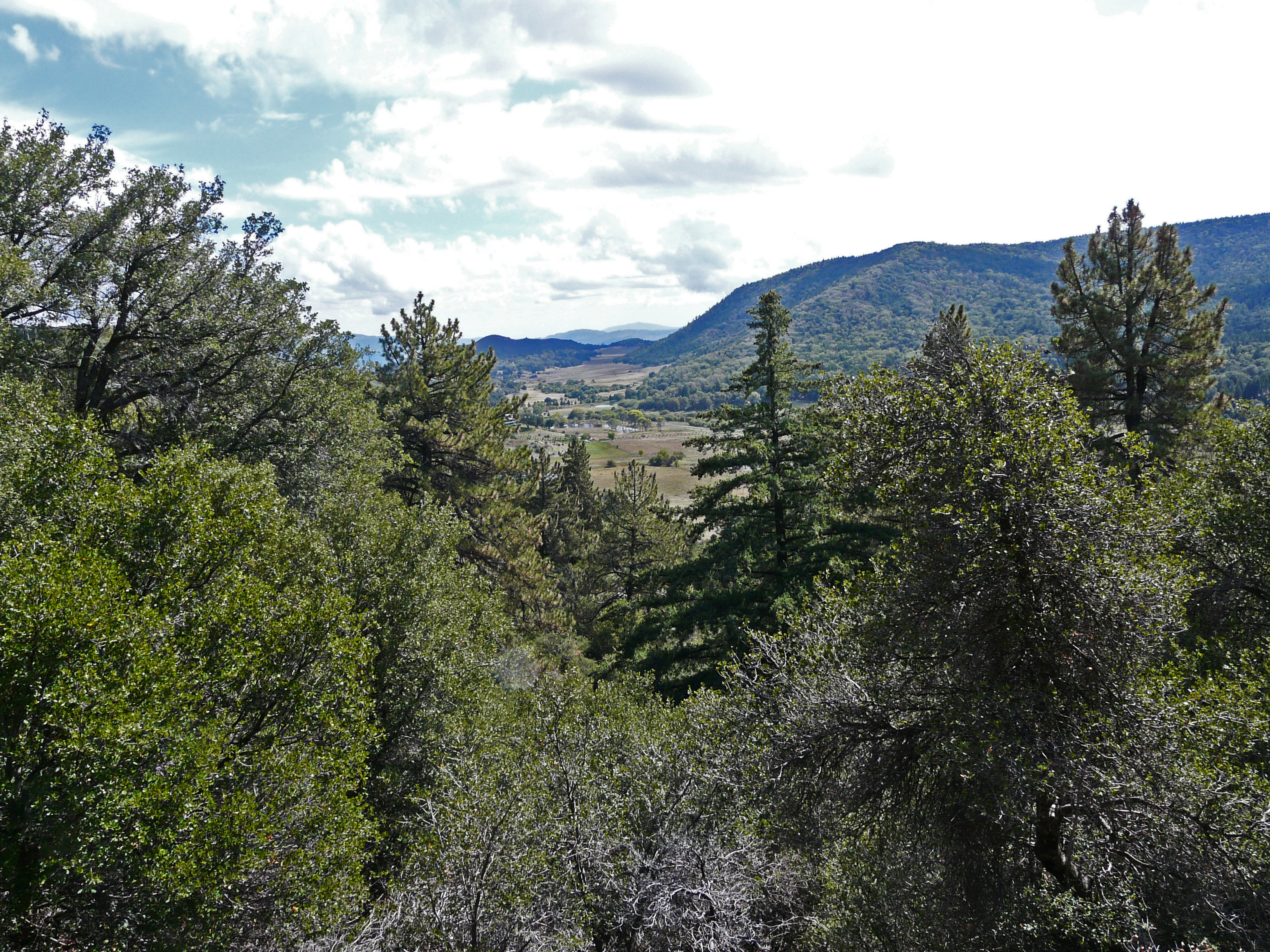 View of Mendenhall Valley from Mendenhall Valley Outlook