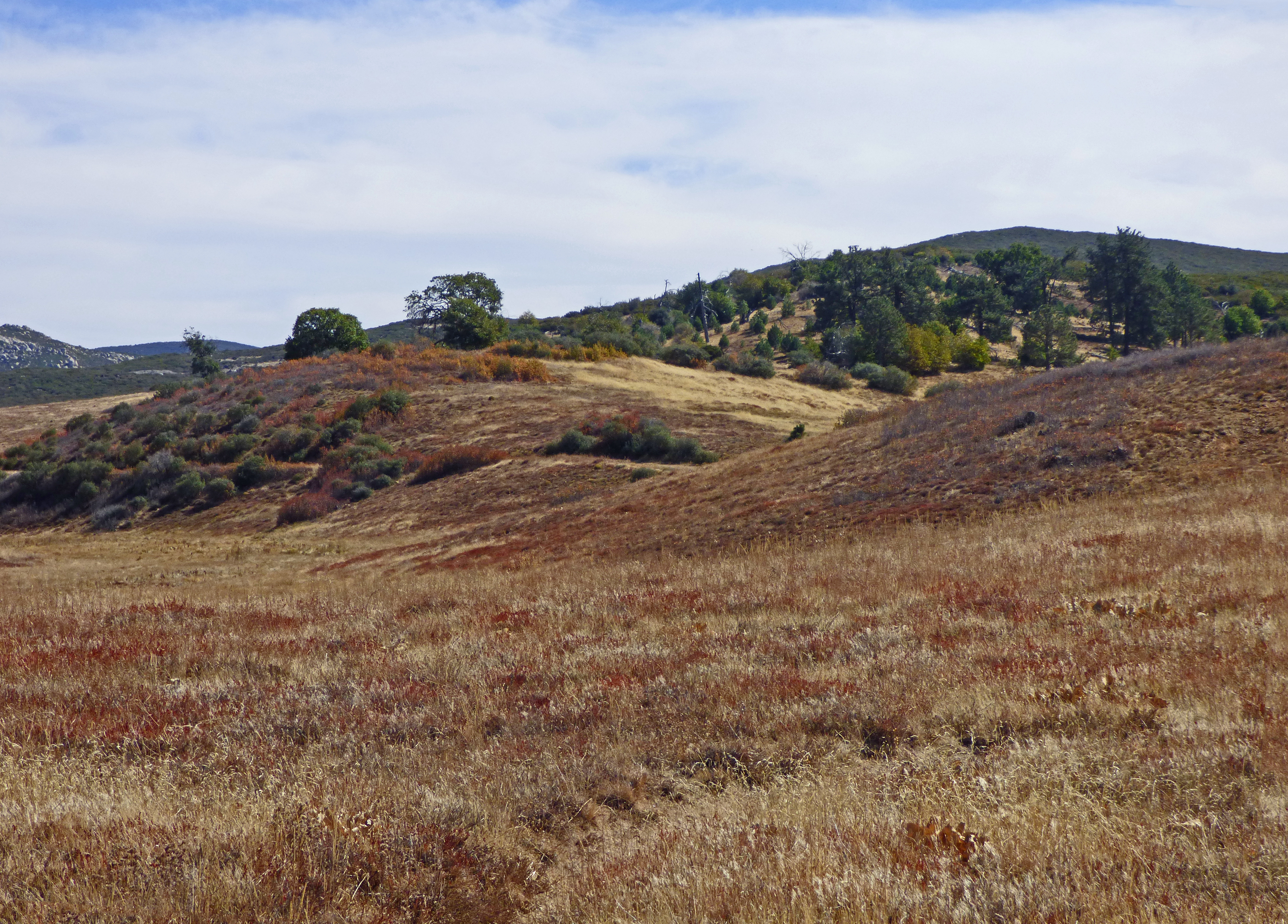View from trail to Los Vaqueros Horse Camp