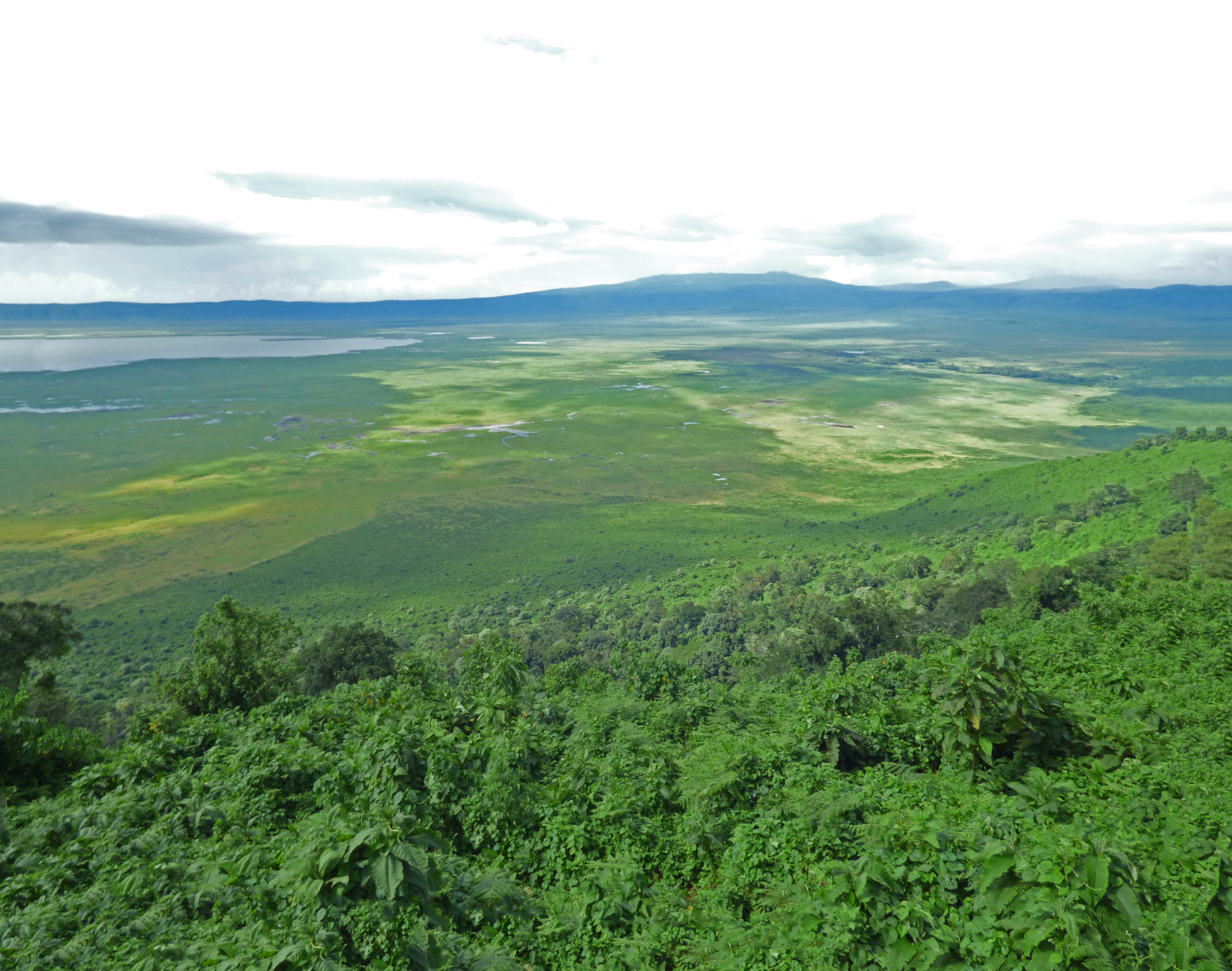 View of Ngorongoro Crater