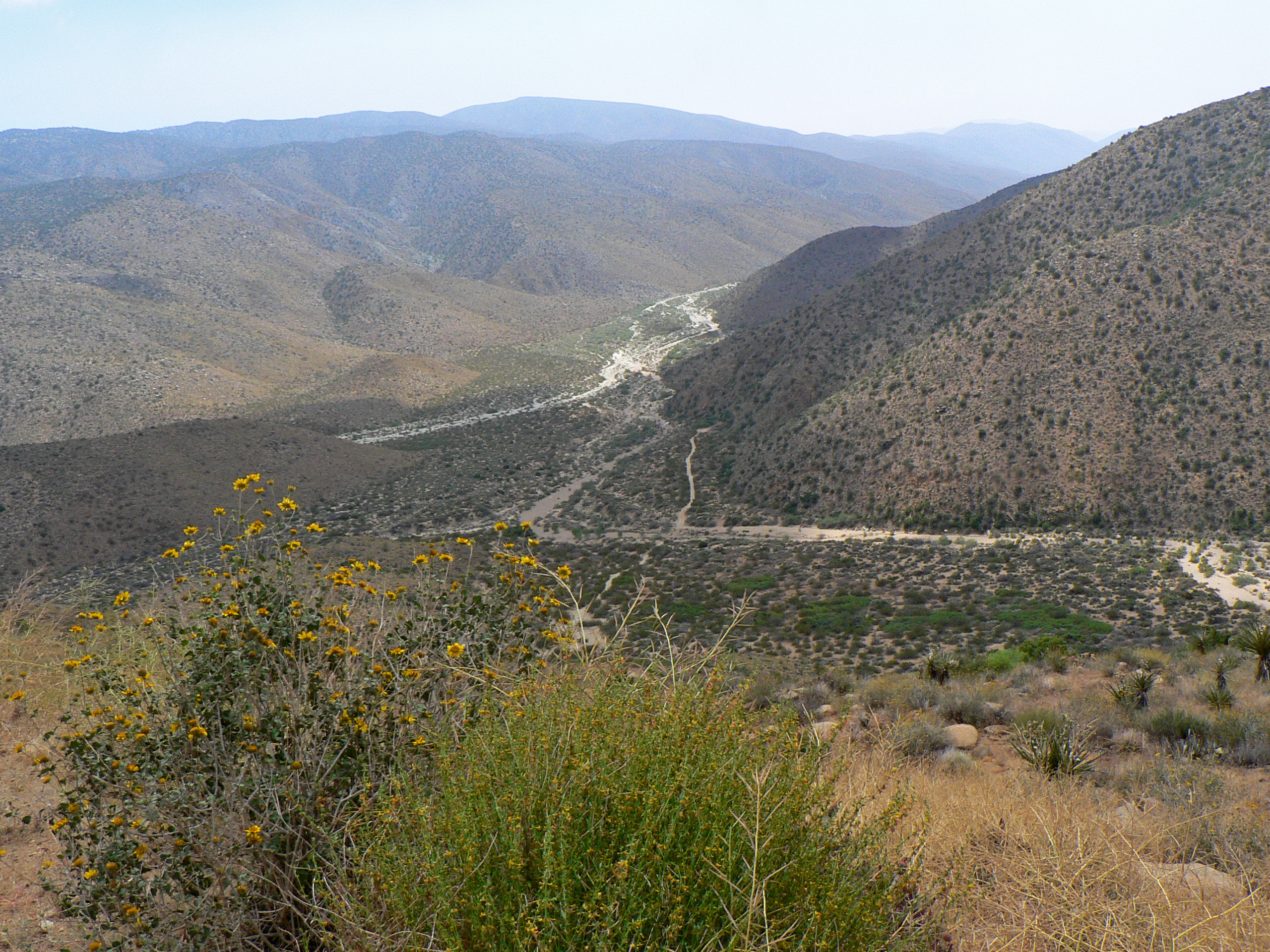 View of Coyote Canyon