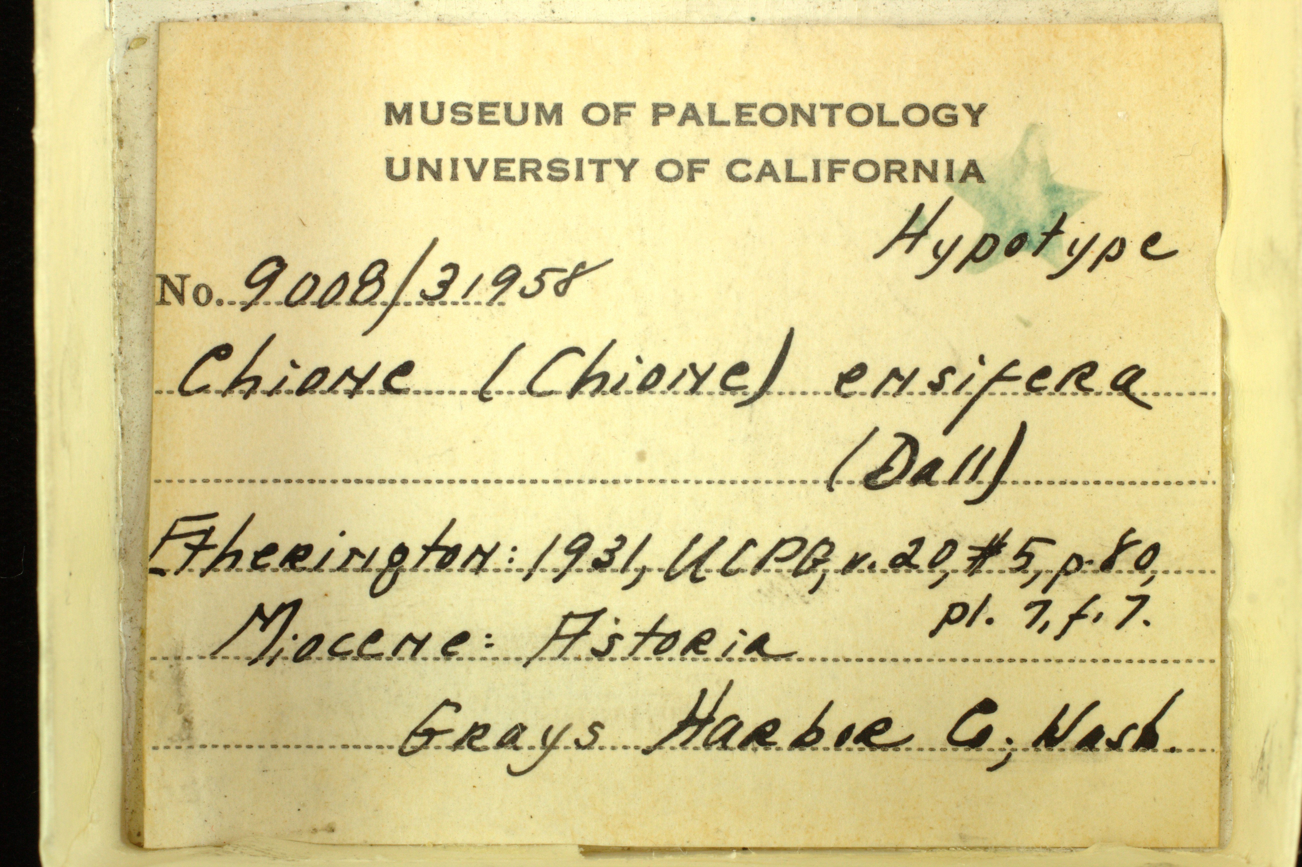 UCMP specimen card